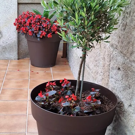 펜션 Casa Rivas 마린