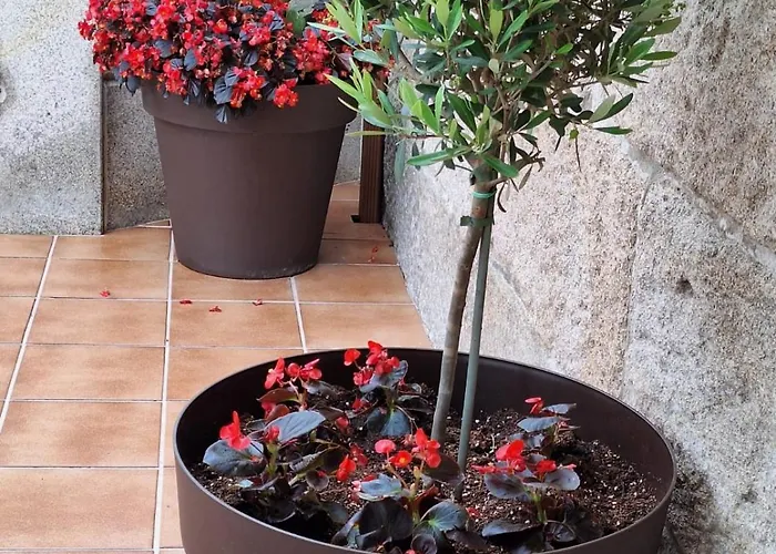 Prázdninový dům Casa Rivas Marín